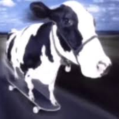 Avatar for trontal