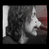 Avatar for Animur