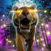 abdroid.jpg