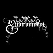 theenvironment_band_dp_HD.jpg
