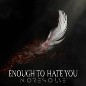 Enough to Hate You