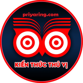 Avatar for priyaring