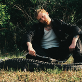 🐊