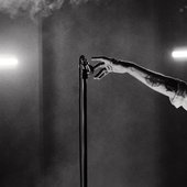 Flytta isbergen, vattna svärmorstungan, ta med soporna ut (Live)