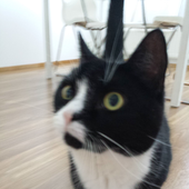 Avatar für seyera