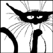 Avatar für dew__point
