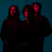 The Districts