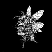PCLB EP Pt. 1