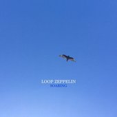 Soaring