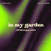 In My Garden (feat. Carlitta Durand) [Tall Black Guy Remix]