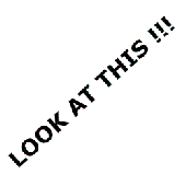 Avatar for ddp33065