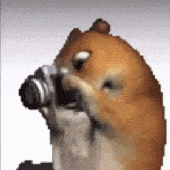 Avatar for Hamsterman65