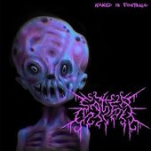 Naked In Fontana - Single