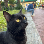 Avatar for cinararnci