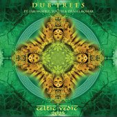 Celtic Vedic [2025 Remastered Edition]