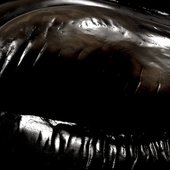 0039609544_10.jpg