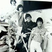 The Knack (60's US)