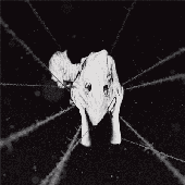 Avatar di marolho