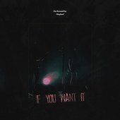 If You Want It - Single