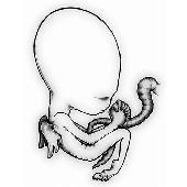 Avatar for Janailton