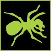 Avatar for Arekey