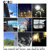 corgi.jpg