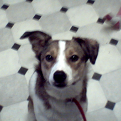Avatar di katie78