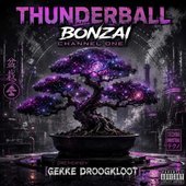 Bonzai Channel One (Remix By Gekke Droogkloot) (2026 Remix) - Single