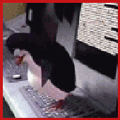 Avatar for kovyrlo