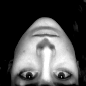 Avatar di Dafne_pn