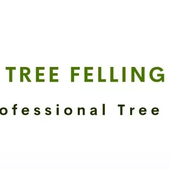 Avatar for treefellingdurb