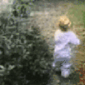 Avatar for RedBull1987
