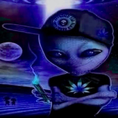 Avatar for viewswn