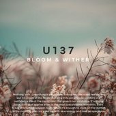 Bloom & Wither