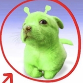 Avatar di iaanpunch