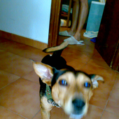 Avatar de athos09