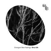 Emergent New Feelings