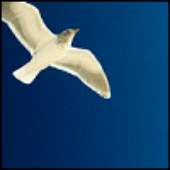 Avatar for katetastic