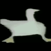 Avatar for Lopus312