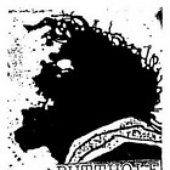 Avatar di whatever_dan