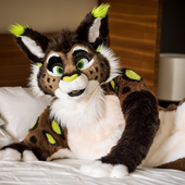 Avatar for SochiLynx