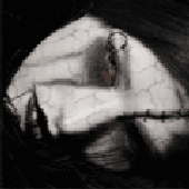 Avatar for x3-
