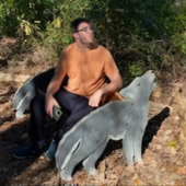 Avatar de plasticnotions