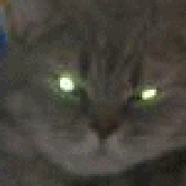 Avatar di Flemmar
