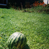 Avatar for rosa1987