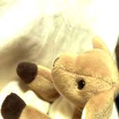 Avatar de colliemaws