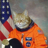 Аватар для nilx