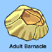 Avatar for fatgayspaghetti