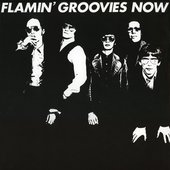 Flamin' Groovies Now - The Deluxe Edition