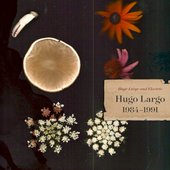 Huge Large and Electric: Hugo Largo 1984-1991